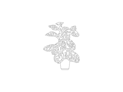 种绿植盆栽图块 植物