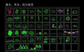 CAD立面树块大全