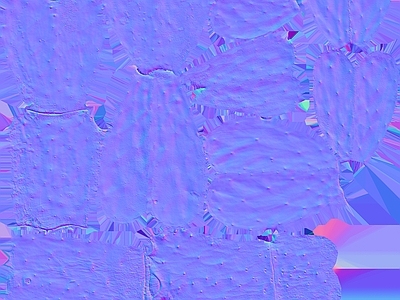 其他法线
