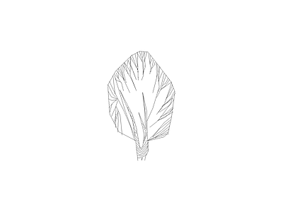 乔木种植 常用植物图例