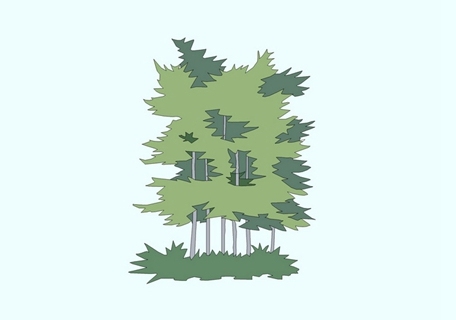 2D植物树
