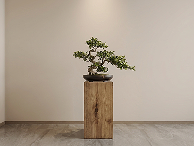 造型绿植盆栽盆栽