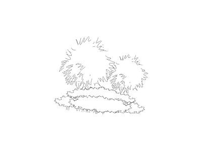 灌木种植 植物图块