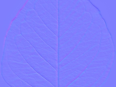 其他法线