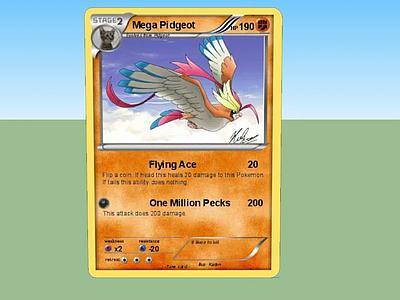 口袋妖怪卡牌Mega Pidgeot生命值190