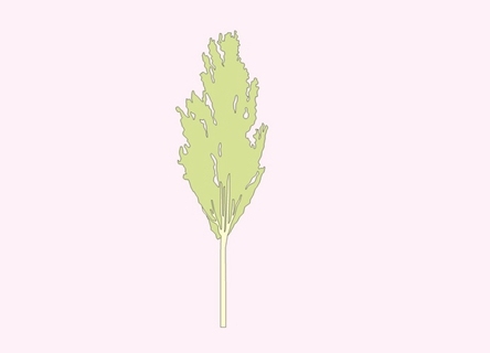 2D植物树