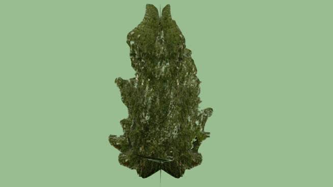 大树02 植物 其他 菜花 橡子 挂钟