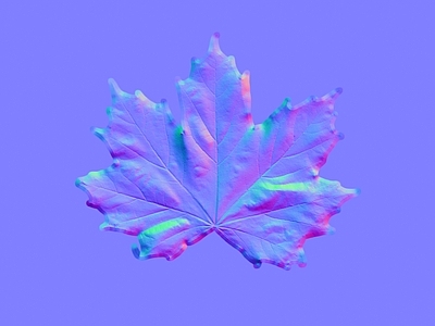 其他法线