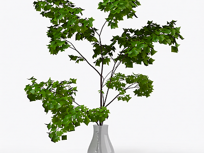 盆栽植物装饰