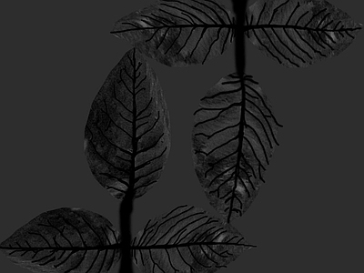 绿植墙