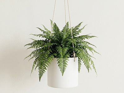 悬挂式绿植盆栽