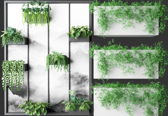植物盆栽 户外花草 墙挂植物 绿植