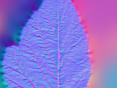 其他法线