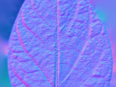其他法线