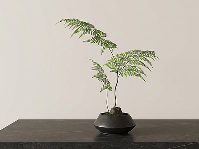 艺术绿植盆栽