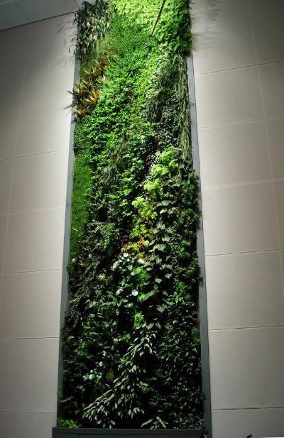 植物墙 贴图 自然元素
