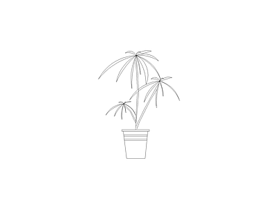绿植 植物立面