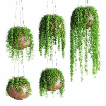 现代植物吊篮组合