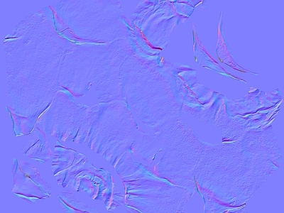 其他法线