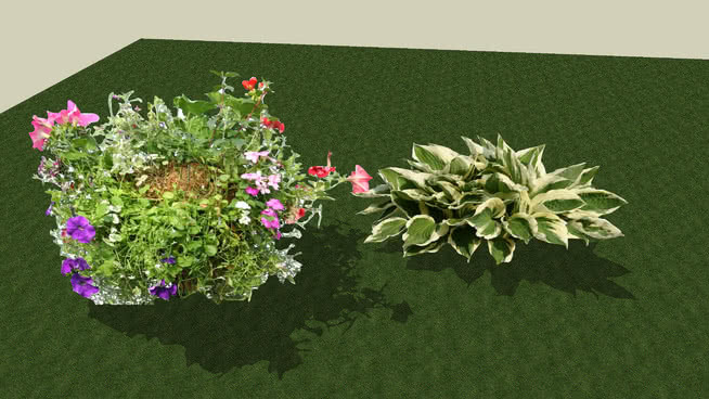 花 其他 花 画 饰品