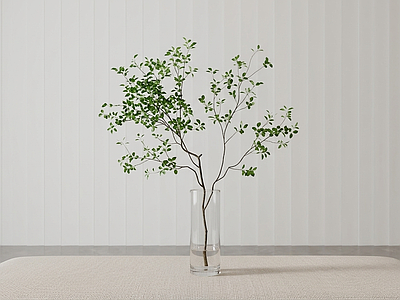 桌面艺术绿植灌木