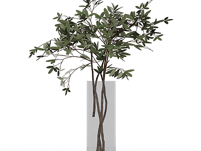 带盆绿植模型
