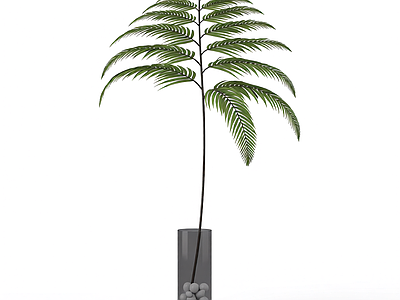 盆栽植物模型