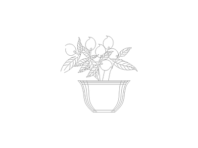 绿植 花瓶花卉绿植装饰摆件图块