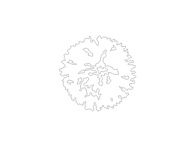 种植物平面图例 榆树