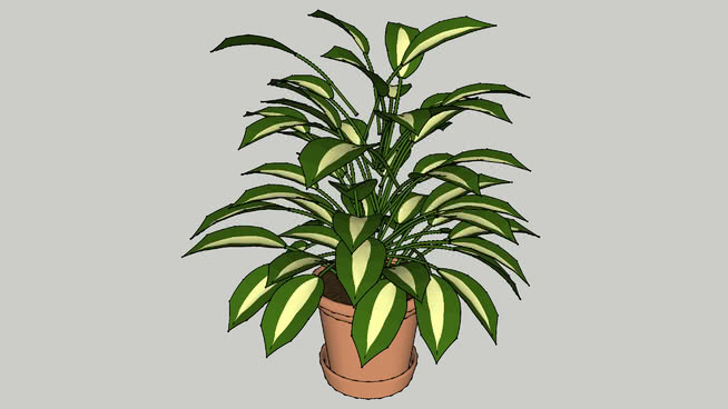 热带盆栽计划 菠萝 植物 画 花盆 花瓶