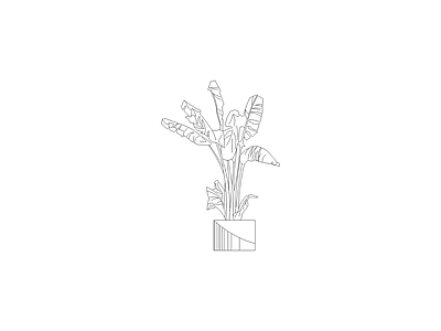 绿植 备用植物图例