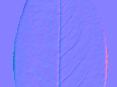 其他法线