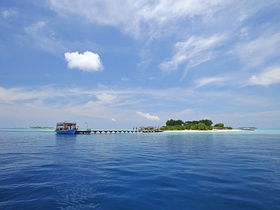 大海