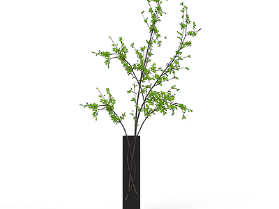 带盆绿植盆栽