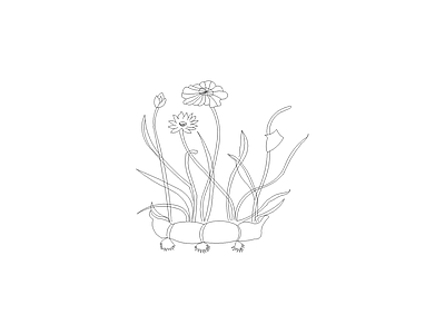 花 备用植物图例