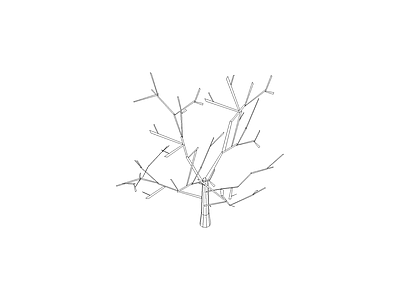 乔木种植 植物图例