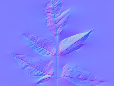 其他法线