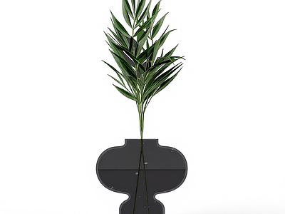 盆栽植物装饰