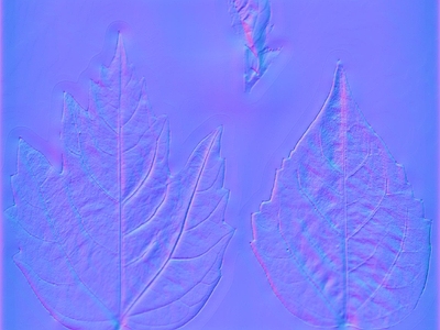 其他法线