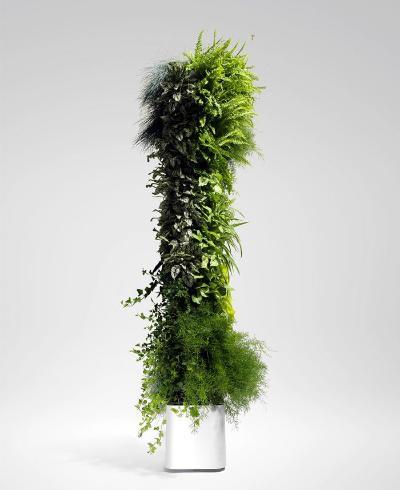 植物墙 贴图 自然元素