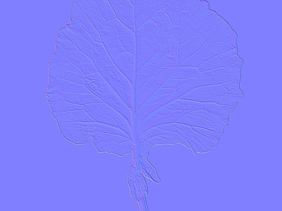 其他法线