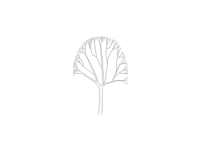 乔木种植 常用植物图例