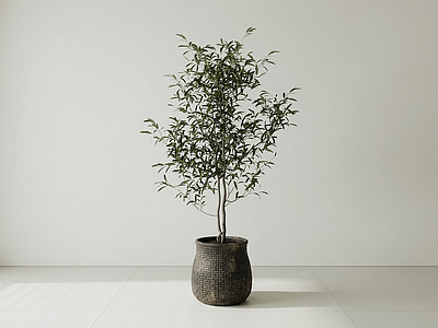 艺术绿植盆栽