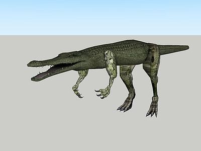 埃及鳄龙（Ambulosuchus aegyptiacus）