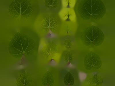 绿植墙