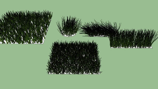 刷子 植物 湖 其他 迷雾
