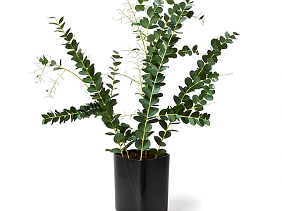 带盆绿植模型