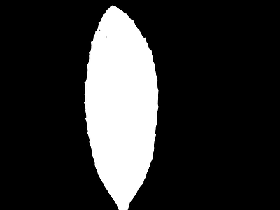 高光