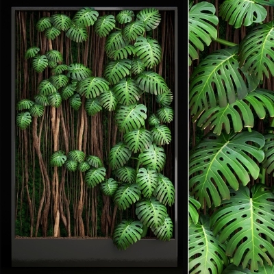 现代植物墙