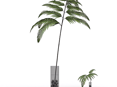 带盆绿植模型
